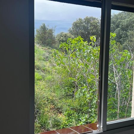 Apartaments La Pertusa 2O Corca  Exteriér fotografie