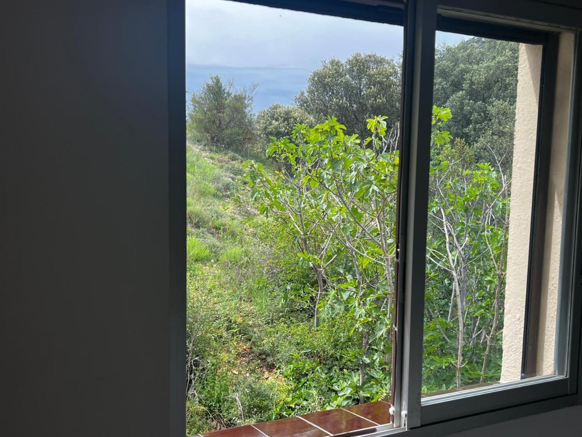Apartaments La Pertusa 2O Corca  Exteriér fotografie